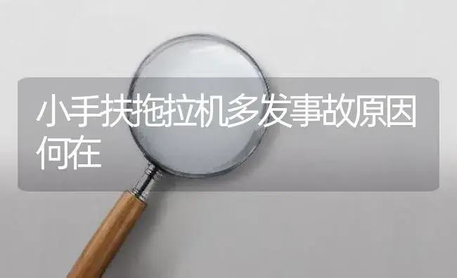 小手扶拖拉机多发事故原因何在 | 农资农机