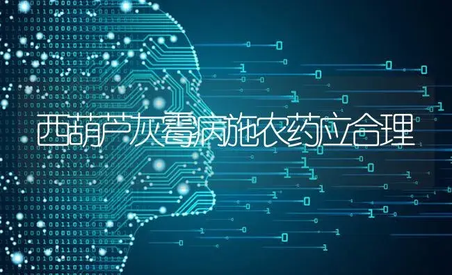 西葫芦灰霉病施农药应合理 | 蔬菜种植