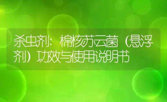 杀虫剂：棉核苏云菌（悬浮剂） | 适用防治对象及农作物使用方法说明书 | 植物农药