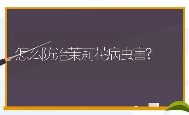 怎么防治茉莉花病虫害? | 植物病虫害