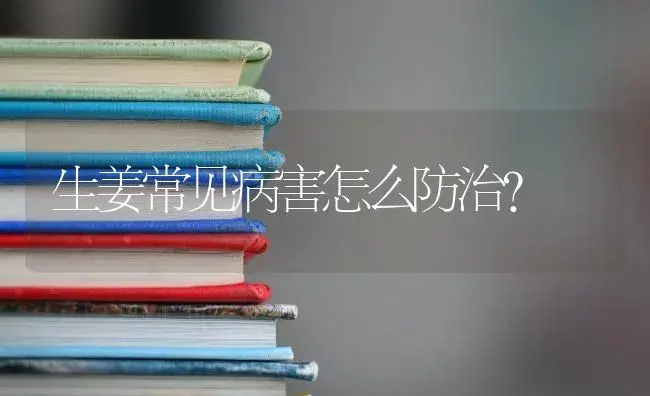 生姜常见病害怎么防治？ | 蔬菜种植