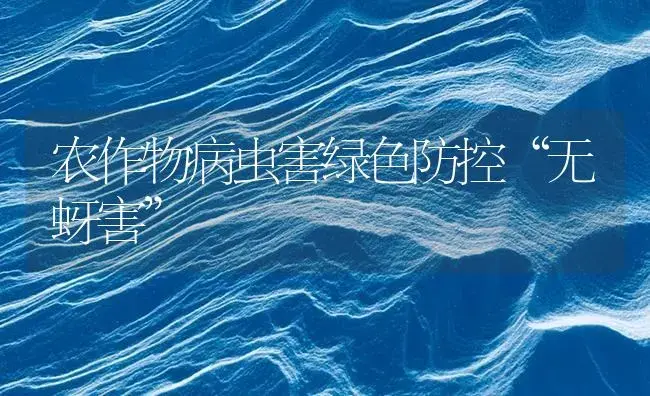 农作物病虫害绿色防控“无蚜害” | 植物病虫害