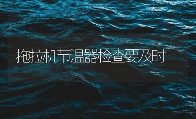 拖拉机节温器检查要及时 | 农资农机