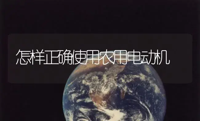 怎样正确使用农用电动机 | 农资农机