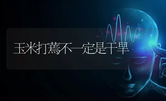 玉米打蔫不一定是干旱 | 蔬菜种植