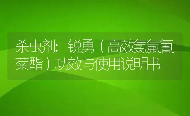 杀虫剂：锐勇（高效氯氟氰菊酯） | 适用防治对象及农作物使用方法说明书 | 植物农药