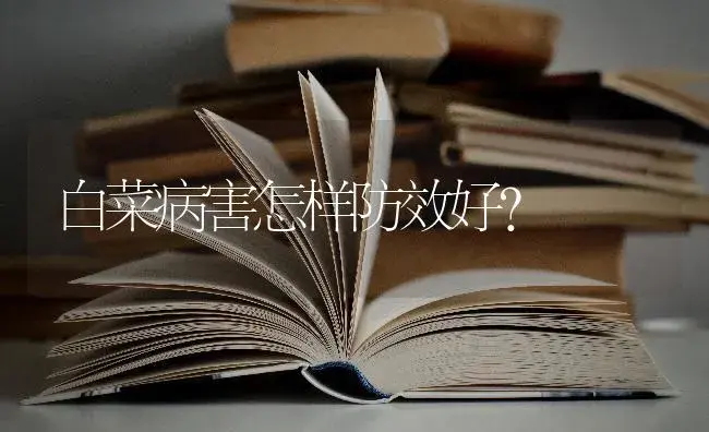 白菜病害怎样防效好？ | 蔬菜种植