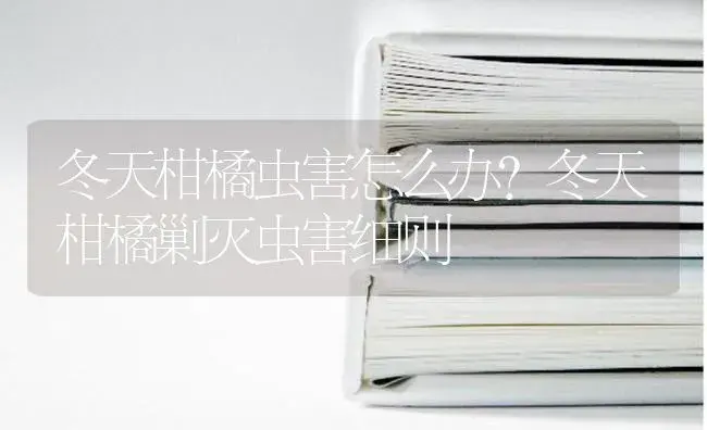 冬天柑橘虫害怎么办？冬天柑橘剿灭虫害细则 | 蔬菜种植