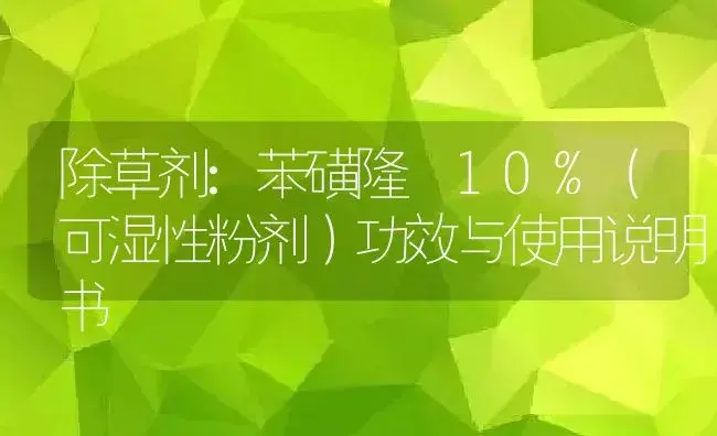 除草剂：苯磺隆 10%（可湿性粉剂） | 适用防治对象及农作物使用方法说明书 | 植物农药