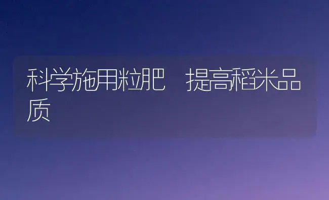 科学施用粒肥 提高稻米品质 | 植物肥料
