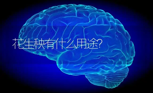 花生秧有什么用途？ | 蔬菜种植