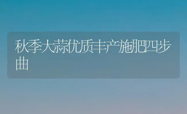 秋季大蒜优质丰产施肥四步曲 | 植物肥料