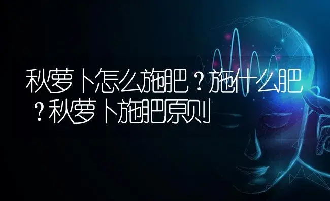 秋萝卜怎么施肥？施什么肥？秋萝卜施肥原则 | 蔬菜种植