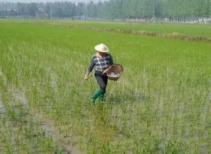 大量元素水溶肥料使用方法