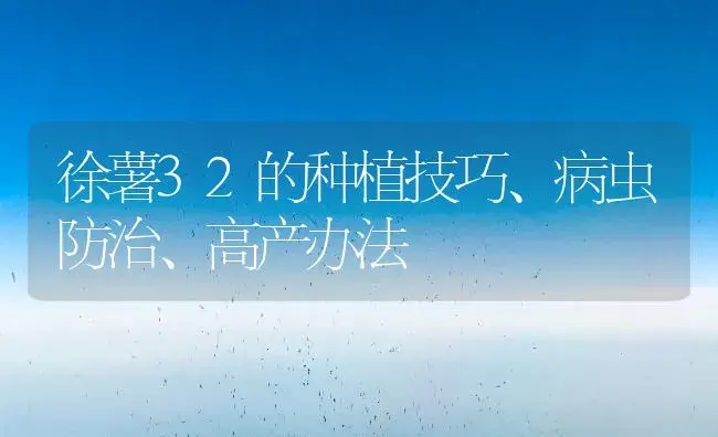 徐薯32的种植技巧、病虫防治、高产办法 | 植物病虫害