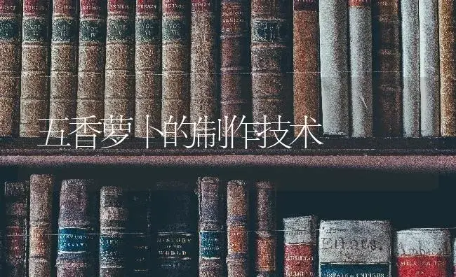 五香萝卜的制作技术 | 蔬菜种植