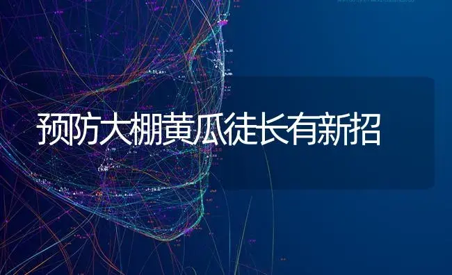 黄姜病虫草害的科学防治方法 | 蔬菜种植