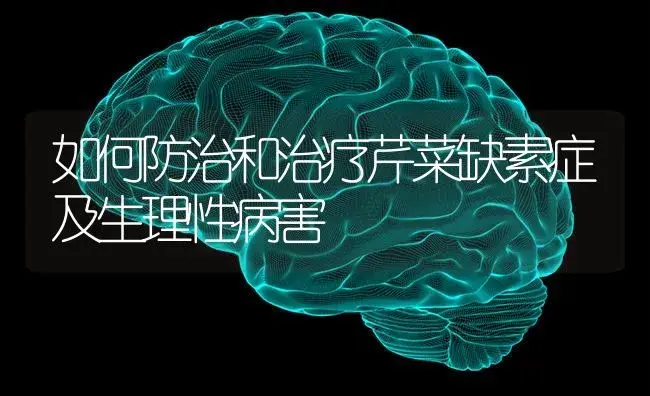 如何防治和治疗芹菜缺素症及生理性病害 | 蔬菜种植