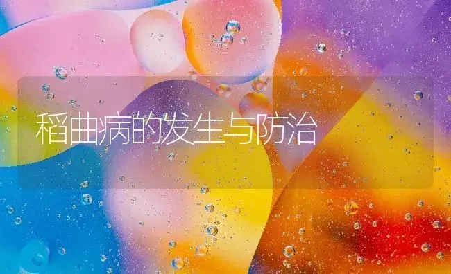 稻曲病的发生与防治 | 植物病虫害