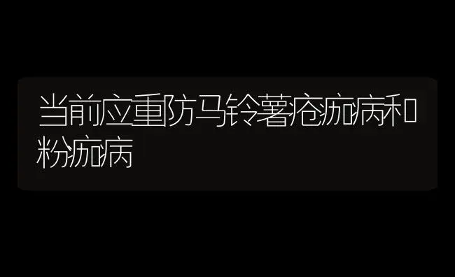 当前应重防马铃薯疮痂病和粉痂病 | 植物病虫害