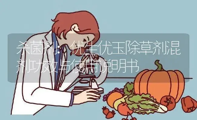 杀菌剂：优生优玉除草剂混剂 | 适用防治对象及农作物使用方法说明书 | 植物农药