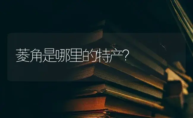 菱角是哪里的特产？ | 蔬菜种植