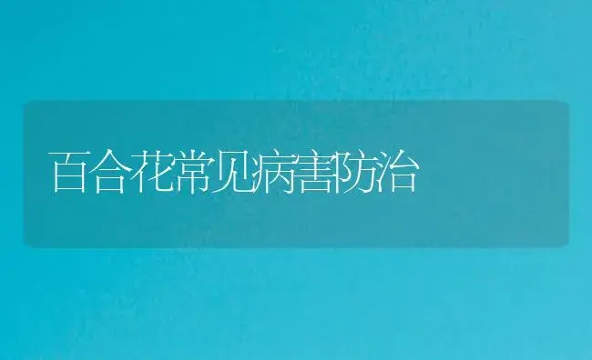 百合花常见病害防治 | 植物病虫害