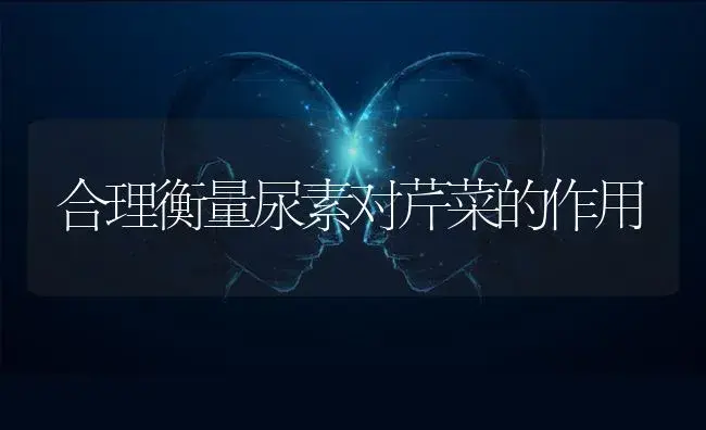 生姜学会这么施底肥，保证优质高产 | 蔬菜种植