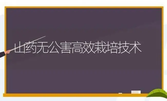 山药无公害高效栽培技术 | 植物农药