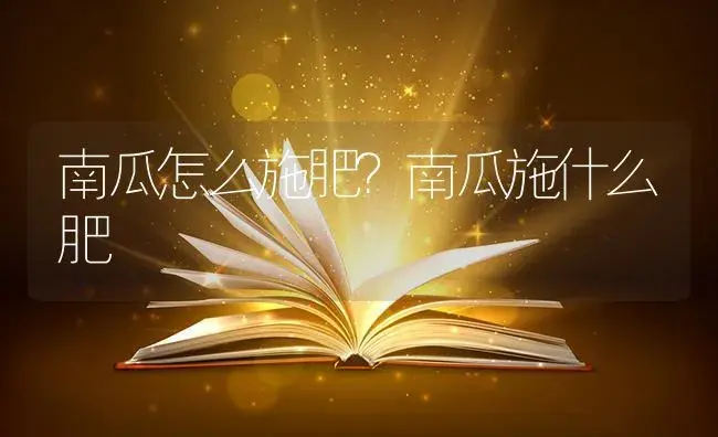 南瓜怎么施肥？南瓜施什么肥 | 蔬菜种植