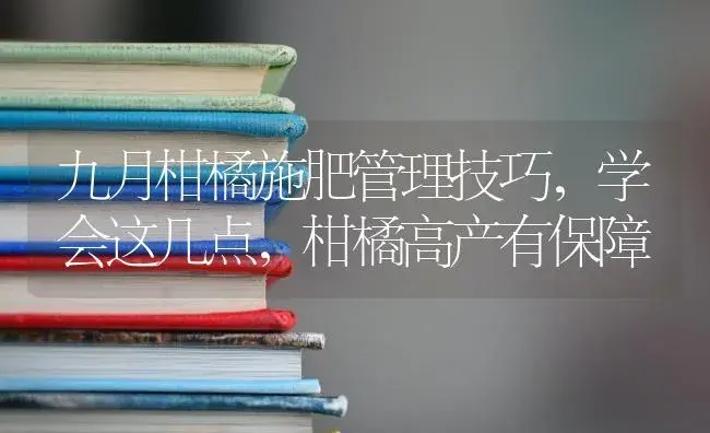 九月柑橘施肥管理技巧，学会这几点，柑橘高产有保障 | 蔬菜种植