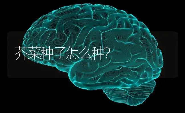 芥菜种子怎么种? | 蔬菜种植