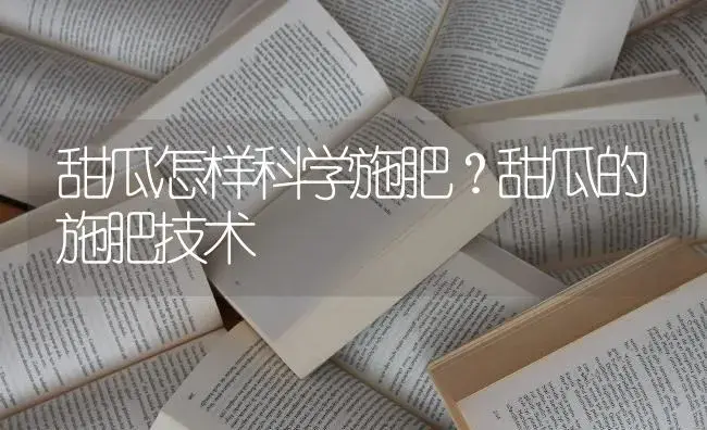 甜瓜怎样科学施肥？甜瓜的施肥技术 | 蔬菜种植