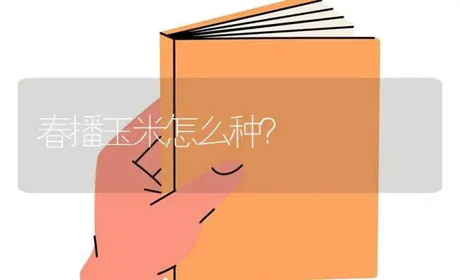 春播玉米怎么种？ | 蔬菜种植