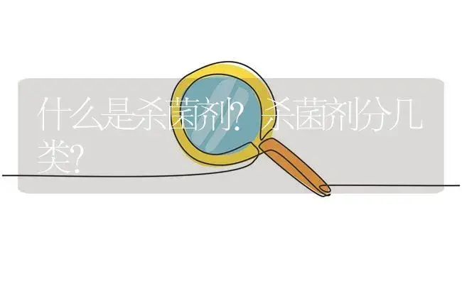 甘蓝黑胫病的无公害防治技术 | 植物病虫害