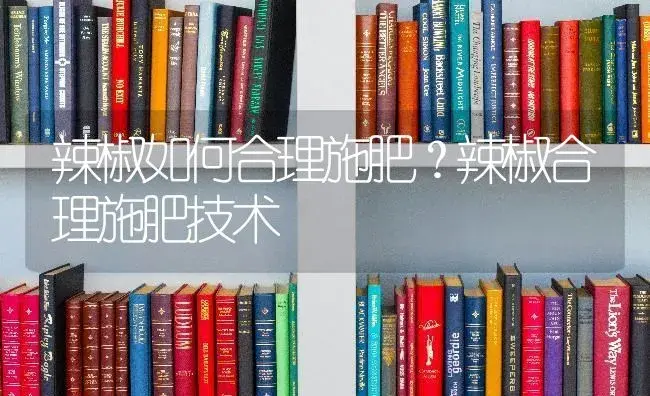 辣椒如何合理施肥？辣椒合理施肥技术 | 蔬菜种植