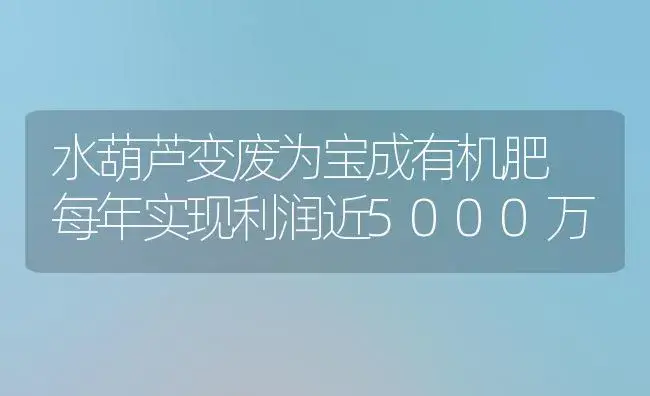 水葫芦变废为宝成有机肥 每年实现利润近5000万 | 植物肥料