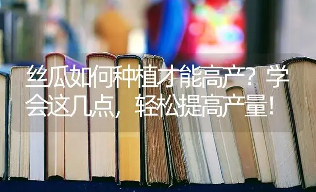 丝瓜如何种植才能高产？学会这几点，轻松提高产量！ | 蔬菜种植