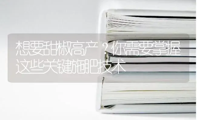 想要甜椒高产？你需要掌握这些关键施肥技术 | 蔬菜种植