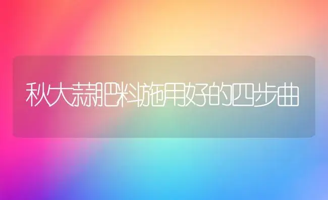 秋大蒜肥料施用好的四步曲 | 植物肥料