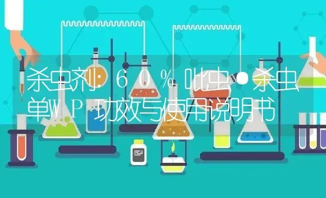杀虫剂：60%吡虫·杀虫单WP | 适用防治对象及农作物使用方法说明书 | 植物农药