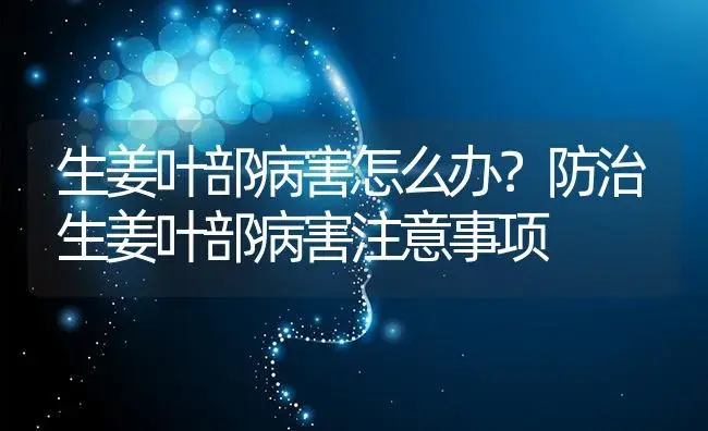 生姜叶部病害怎么办？防治生姜叶部病害注意事项 | 蔬菜种植