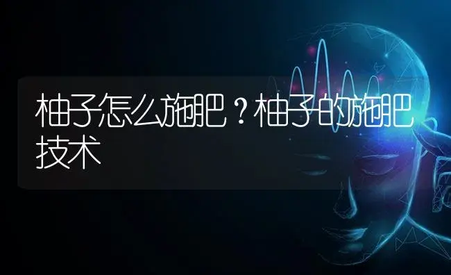 柚子怎么施肥？柚子的施肥技术 | 蔬菜种植