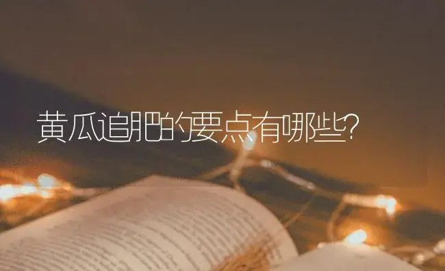 黄瓜追肥的要点有哪些？ | 蔬菜种植