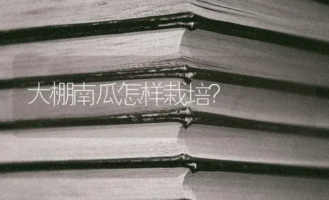 大棚南瓜怎样栽培？ | 蔬菜种植