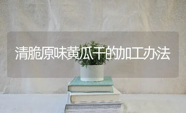 清脆原味黄瓜干的加工办法 | 蔬菜种植