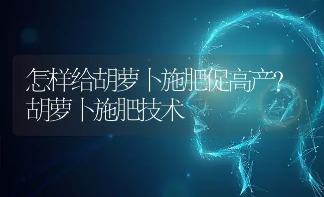 怎样给胡萝卜施肥促高产？胡萝卜施肥技术 | 蔬菜种植