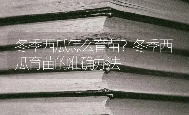 冬季西瓜怎么育苗？冬季西瓜育苗的准确办法 | 蔬菜种植