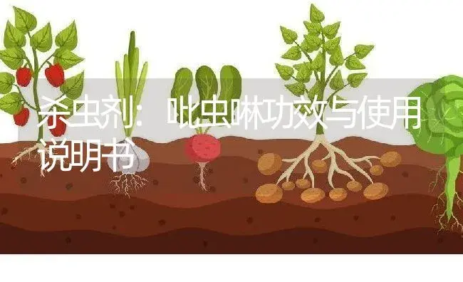 杀虫剂：吡虫啉 | 适用防治对象及农作物使用方法说明书 | 植物农药