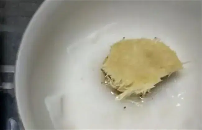 金针菇根部再生办法